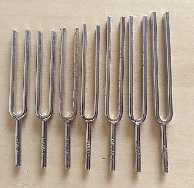 Des diapasons accordés sur différentes fréquences (photo K. Venkataramana, CC0)