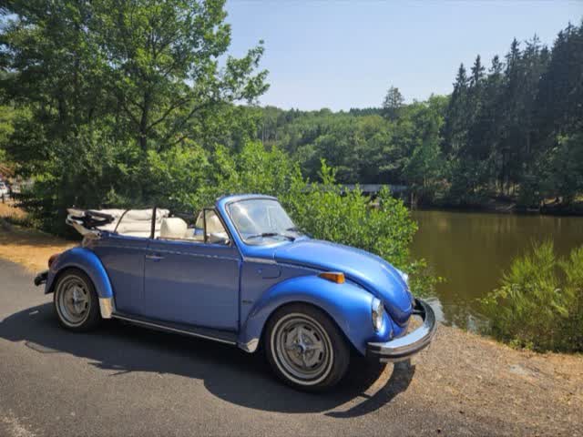 La Coccinelle cabriolet au bord du lac